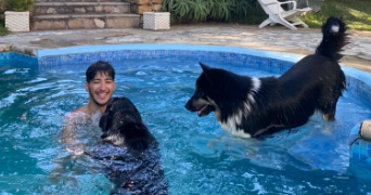 mohamed amine pet sitter à ORLEANS 45000_2