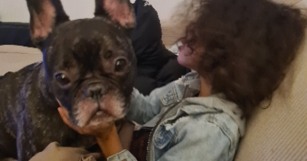 cindy pet sitter à COLOMBES 92700_1