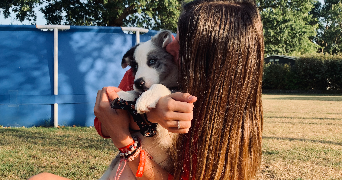 lou-anne pet sitter à MOUZEIL 44850_0