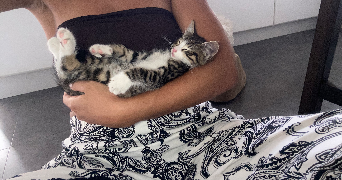 marine pet sitter à MERIGNAC 33700_3