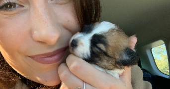 elodie pet sitter à CATENOY 60840_3