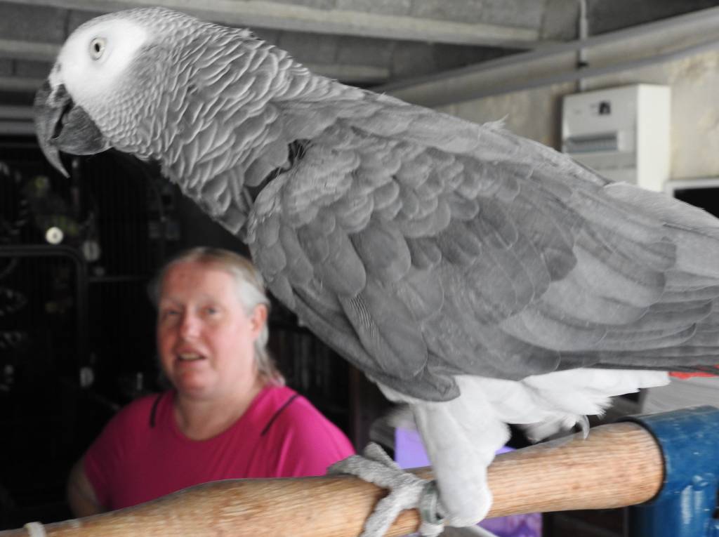 claire pet sitter à Vernon 27200_5