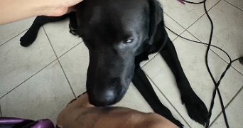celia pet sitter à MARSEILLE 10 13010_5