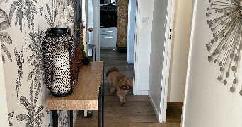 magali pet sitter à MARSEILLE 13 13013_6