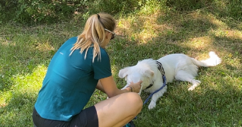 emilie pet sitter à DOUAI 59500_2