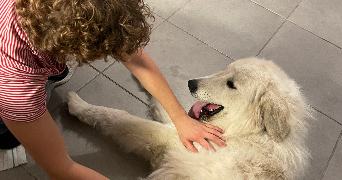maïlys pet sitter à TOULOUSE 31300_1