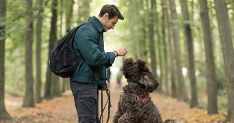 anthony pet sitter à LILLE 59800_0