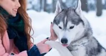 elise pet sitter à MONTBRISON 42600
