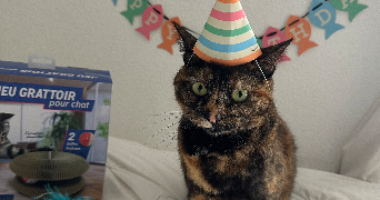 coline pet sitter à MONTPELLIER 34000_1