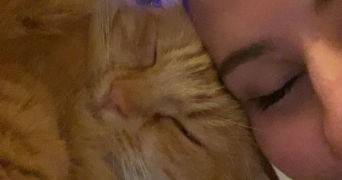 ilona elisa pet sitter à CHEMILLE EN ANJOU 49750_2