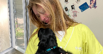 amaia pet sitter à BAYONNE 64100_0