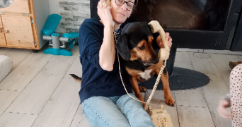 tessa pet sitter à ST MARS LA BRIERE 72470_0