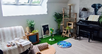 muriel  pet sitter à Beauvais 60000_3