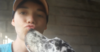 angélique pet sitter à MAISONS LAFFITTE 78600_1