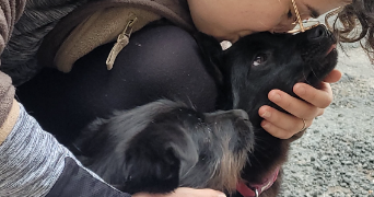 ondine pet sitter à ST DONAT SUR LHERBASSE 69450_3