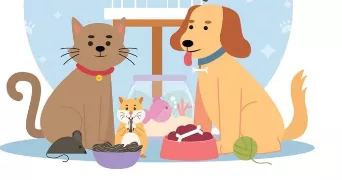 ludmilla pet sitter à TOURNEFEUILLE 31170