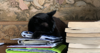 liliane pet sitter à PARIS 75000_1