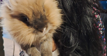 marine pet sitter à BORDEAUX 33000_1