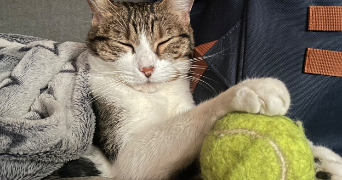 alison pet sitter à Morteau 25500_6