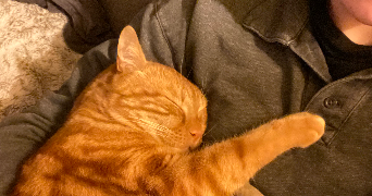 louise pet sitter à ROISSY EN BRIE 77680_5