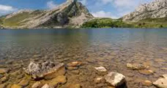 saadia pet sitter à PARIS 17 75017