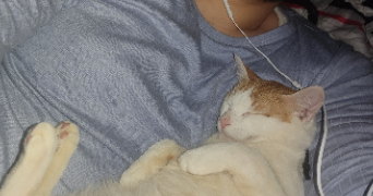 mahfoud rayan pet sitter à MULHOUSE 68200_1