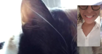 héléna cat sitter à ST MAUR DES FOSSES 94100_3