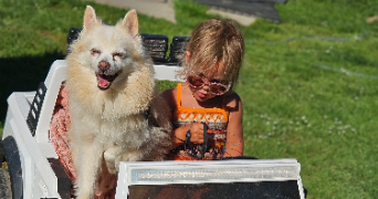 marlene pet sitter à AUNEAU BLEURY ST SYMPHORIEN 28700_80