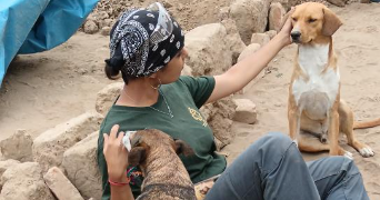 elise pet sitter à ST OUEN L AUMONE 95310_3