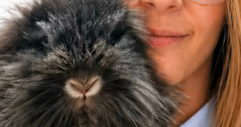 julie pet sitter à TOULON 83000_1
