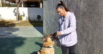 camila pet sitter à PECHABOU 31320_2