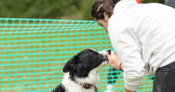 carla pet sitter à AIMARGUES 30470_0