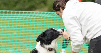carla pet sitter à AIMARGUES 30470