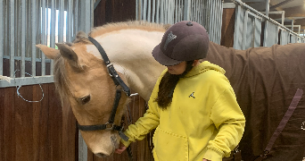 guerineau pet sitter à LA CRECHE 79260_2