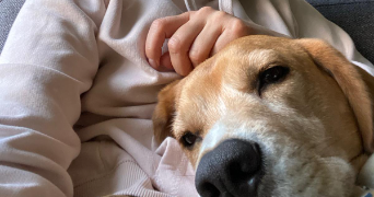 julita dog sitter à BOULOGNE BILLANCOURT 92100_3