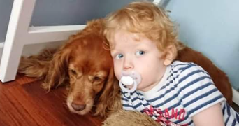 steven pet sitter à PLOUDALMEZEAU 29830_7