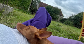 lucile pet sitter à PANTIN 93500_3