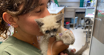 amelie pet sitter à BUC 78530_2