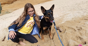 valentin pet sitter à BENODET 29950_3