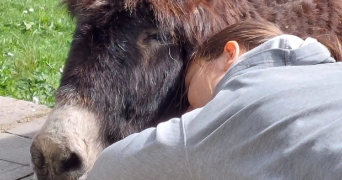 chloé pet sitter à LYON 03 69003_9