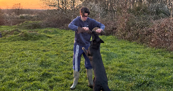 tony pet sitter à LA FERRIERE 85280_3