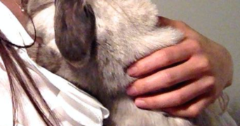 mayu pet sitter à CHAVILLE 92370_0