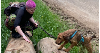 coline pet sitter à BESANCON 25000_2