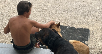 amandine dog sitter à LA SALVETAT BELMONTET 82230_2