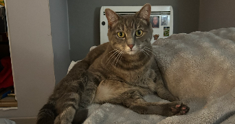 marine pet sitter à ITTEVILLE 91760_6