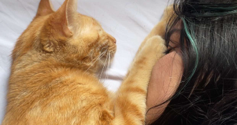 iris pet sitter à ST ETIENNE 42000_2