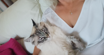 muriel pet sitter à MONTELIMAR 26200_1