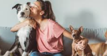 scalet pet sitter à BELFORT 90000_0