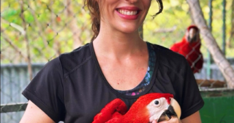 laurie pet sitter à LISTRAC MEDOC 33480_1