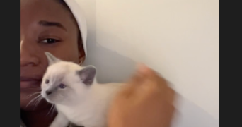 andréa pet sitter à PARIS 18 75018_2